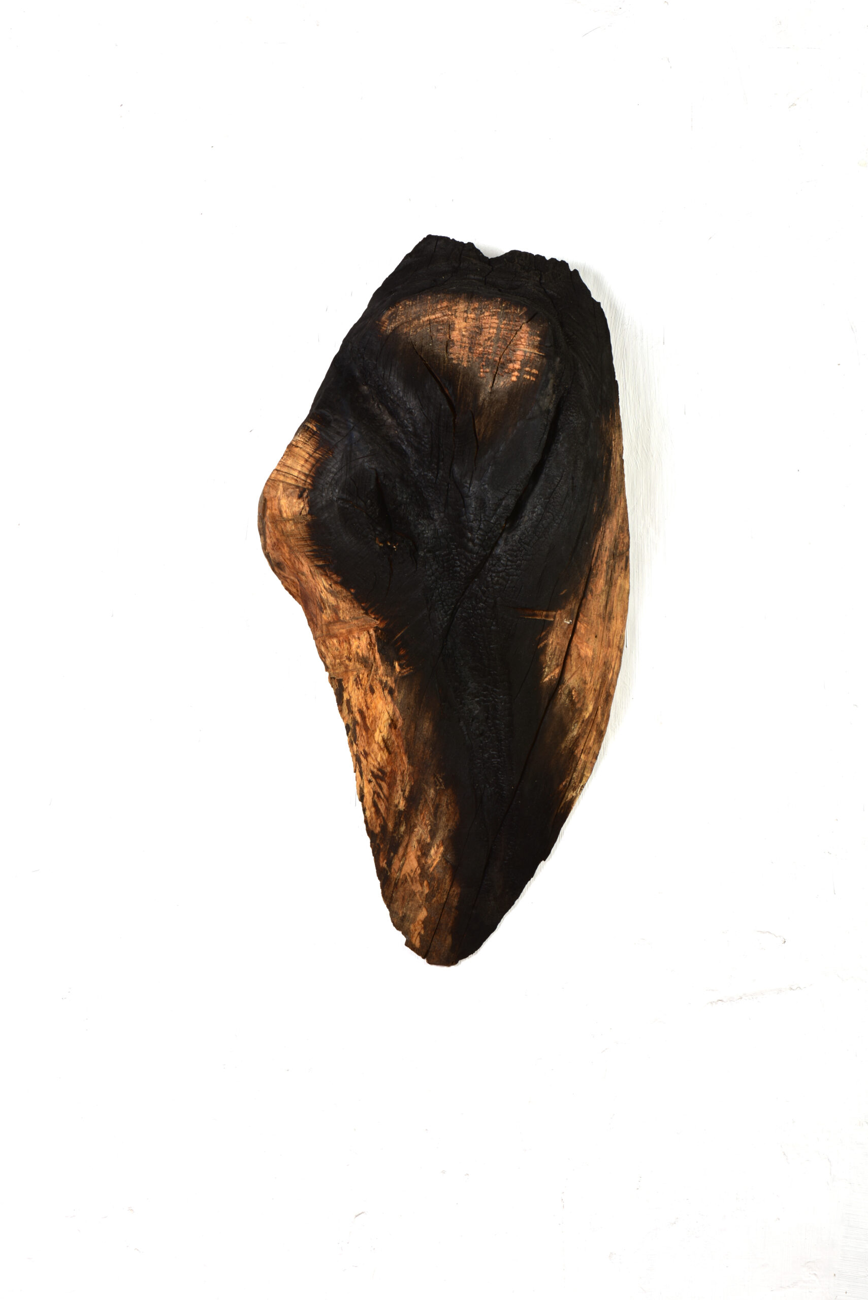 Maske Eiche – 2015
76 x 51 x 28 cm
