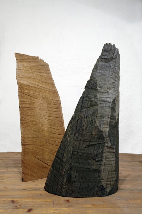 Holz, duo - 2010, Holz gebrannt